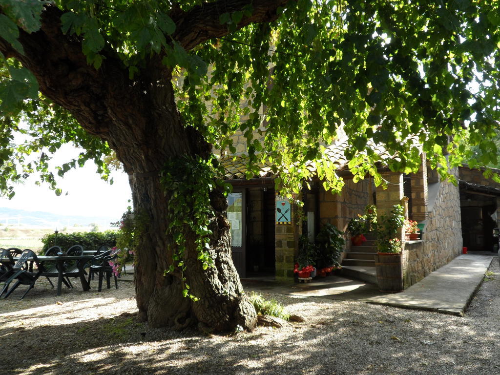 فندق Civitella dʼAglianoفي  Mola Solis المظهر الخارجي الصورة